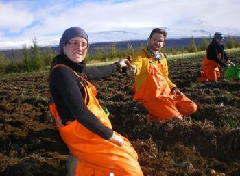 Organic Farming in Iceland (1:2)