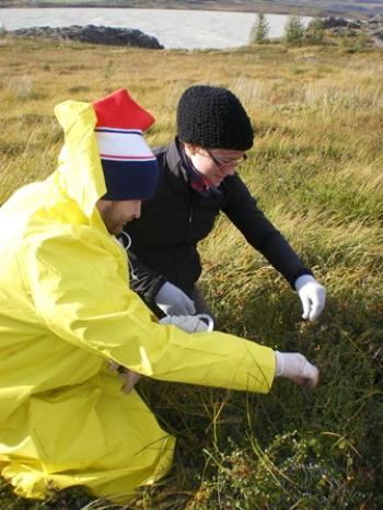 Organic Farming in Iceland (2:2)