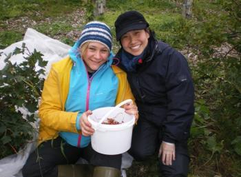 Organic Farming in Iceland (2:2)