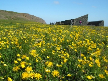 Skagafjörður - Renovation of a historical site