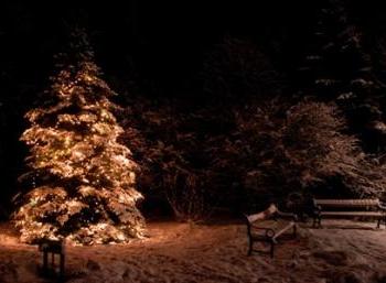 Christmas Photo Marathon in Reykjavík