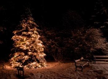 Christmas Photo Marathon in Reykjavik