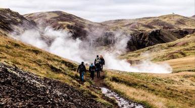 SEEDS Iceland