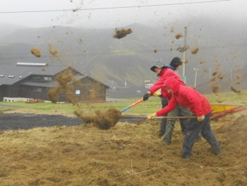 Revegetation in the south of Iceland (1:2)