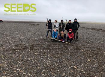 Revegetation in the South-west of  Iceland (3/3)