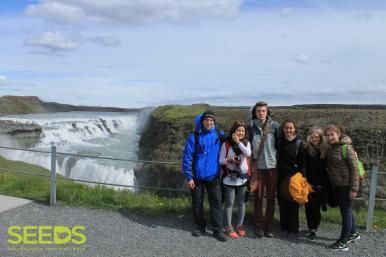 SEEDS Iceland