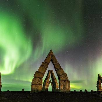 SEEDS Iceland