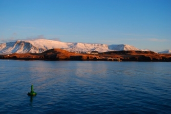 Island of Viðey & Culture night in Reykjavík