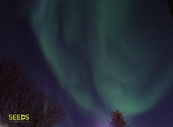 Photography, Aurora hunting & Design festival