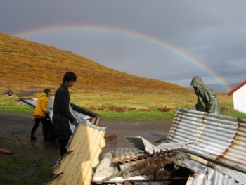 Ísafjarðardjúp: Nature & Fun in the West  Fjords (3)