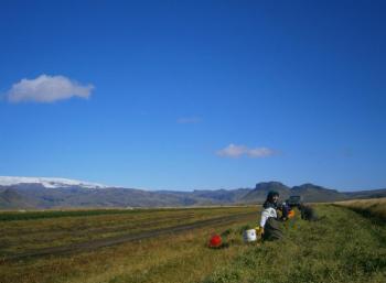 SEEDS Iceland