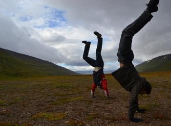 SEEDS Iceland