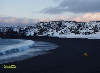 SEEDS Iceland