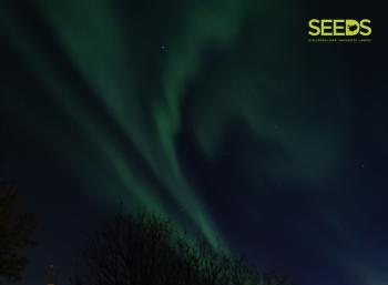 SEEDS Iceland