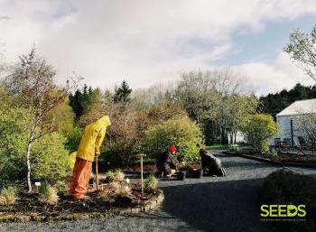 Botanical gardens in Reykjavik (2:9)