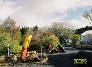 Botanical gardens in Reykjavik (2/9)