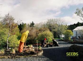 Botanical gardens in Reykjavik (6:9)