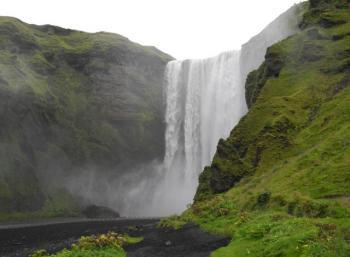 SEEDS Iceland