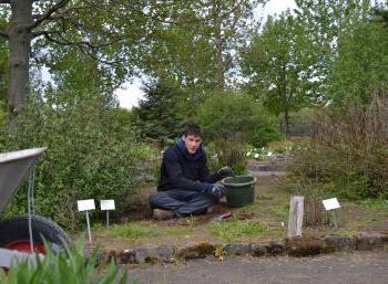 Botanic Garden in Reykjavík (5:10)