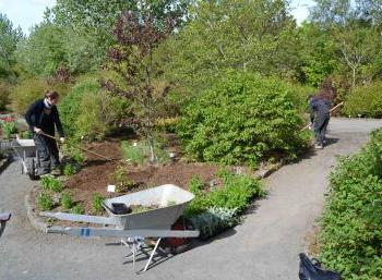 Botanic Garden in Reykjavík (2:10)