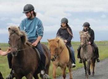 Working & Horseback riding in the North