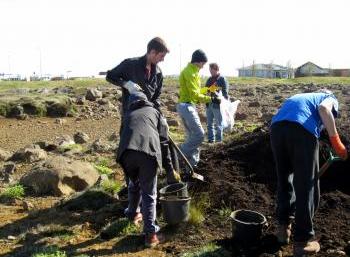 Revegetation in the south of Iceland (1:2)