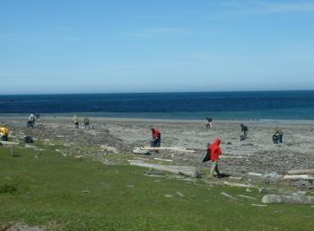 Coast Cleaning & Environmentally Aware in Reykjavík