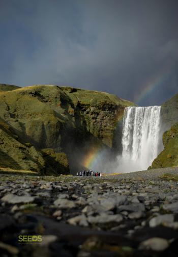 SEEDS Iceland