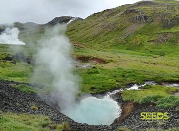 SEEDS Iceland