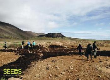 Revegetation in the South of Iceland (2:3)