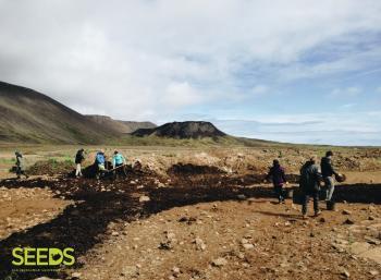 Revegetation in the South-west of  Iceland (1/3)