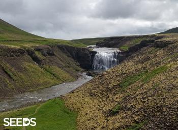 SEEDS Iceland