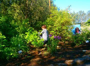 Growing Gardens in Reykjavík (2:2)