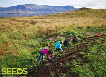 SEEDS 019. Forestry & tree planting in the North