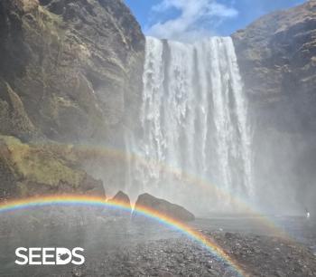 SEEDS 27 060. Photography & Fun in Reykjavík - Pride