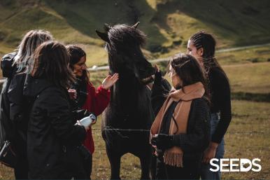 SEEDS 051. Photography & Culture Night in Reykjavík