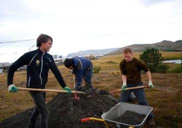 SEEDS Iceland