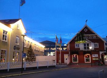 Environmental Christmas & Red Cross in Reykjavík