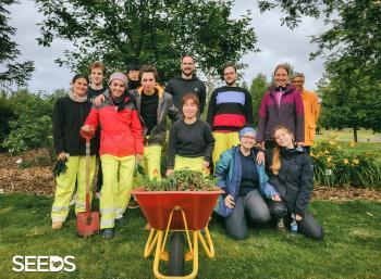 SEEDS 063. Forestry in the West of Iceland