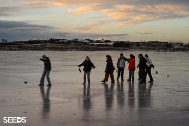 SEEDS 089. Environment & Photography - Christmas