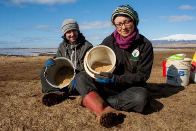 SEEDS Iceland