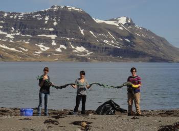 Suðureyri in the West fjords