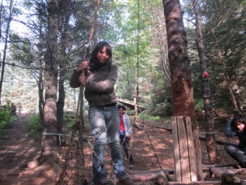 Forestry in the North-east of Iceland