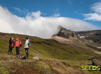 Forestry in the far East of Iceland