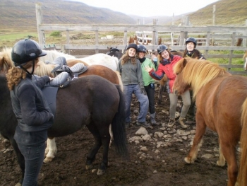 Ísafjarðardjúp: Nature & Fun in the Westfjords (1:3)