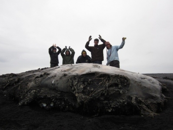 Reykjavík - Icelandic traditions & culture