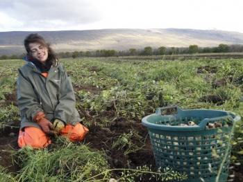 Icelandic Herbs & Mountain of Wolves