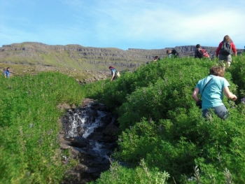 SEEDS Iceland