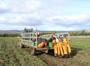 Organic Farming in Iceland (2:2)
