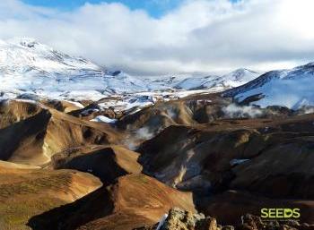 SEEDS Iceland